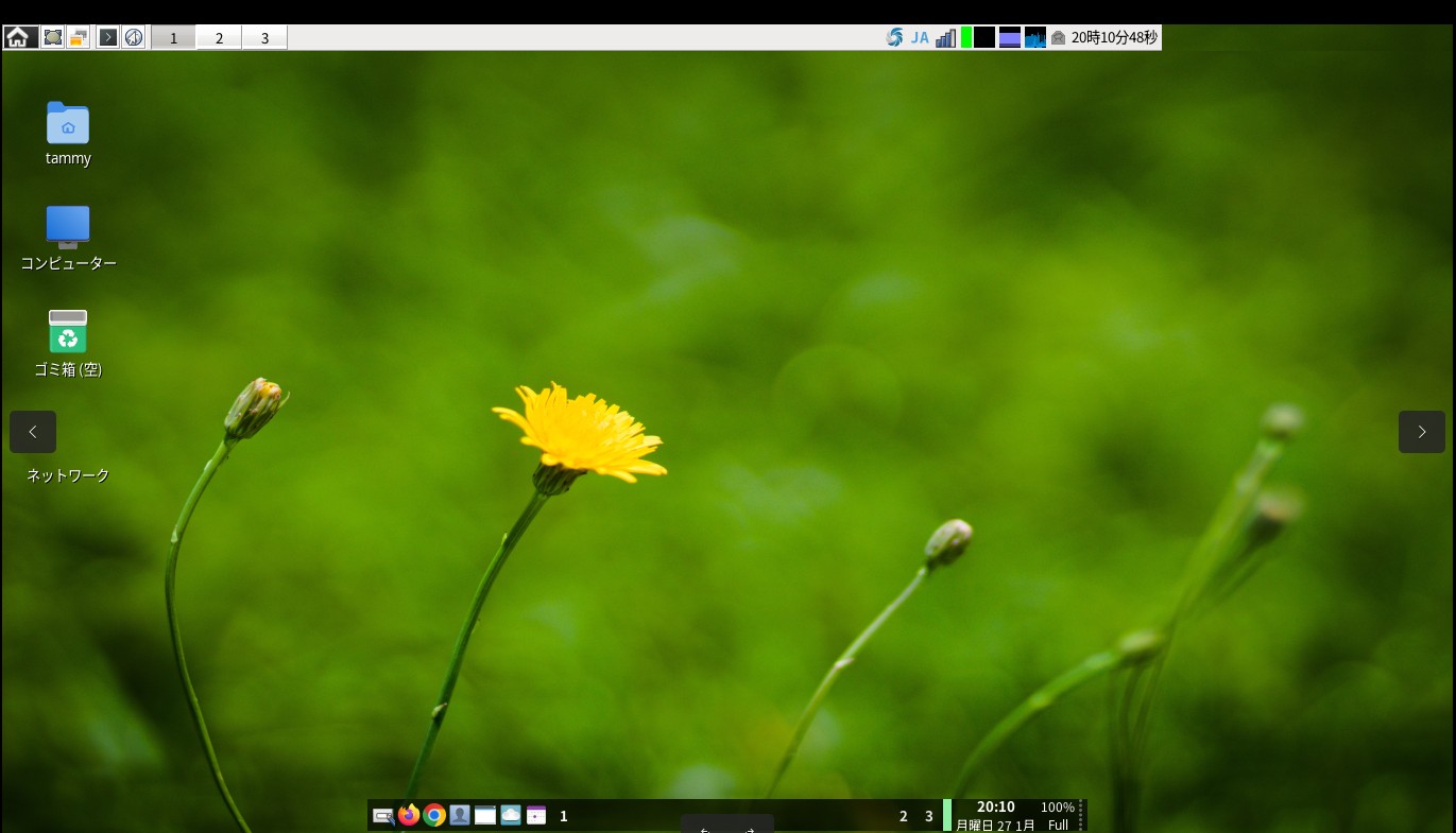 dell 
